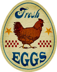 FreshEggs.JPG