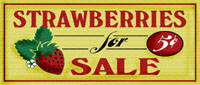STRAWBERRIES.JPG