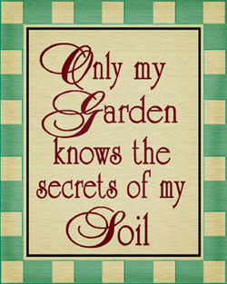 SercretSoil.JPG